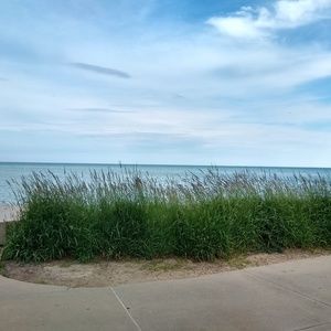 Meet your Posher, Jane